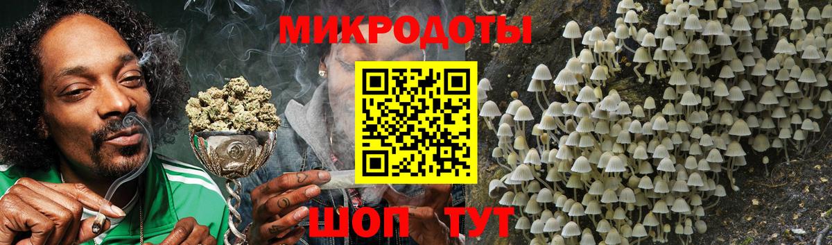 дарнет шоп  Вход с VPN  Амурск  Галлюциногенные грибы Psilocybine cubensis  Галлюциногенные грибы Psilocybine cubensis 